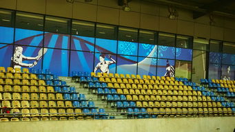 KAIYUNAPP-澳大利亚队未来如何利用青训体系打造新一代乒乓巨星，澳大利亚乒乓球